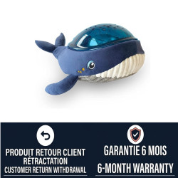 Pabobo Aqua Dream...